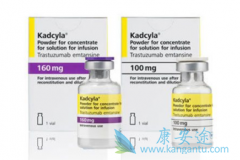 T-DM1(Kadcyla)�������������ٰ����ߵ�һ����ҩ