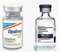 PD-1����Keytruda�����Ʒ��������ƺ�ɫ����