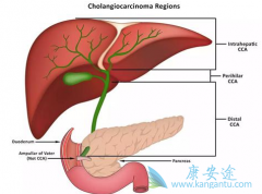 ������ɼ�����Ƶ��ܰ�������Ч����ô����