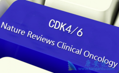 ����ҽҩ��˾�������ٰ�CDK4/6���Ƽ����з���չ