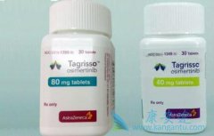 һ��ʹ��AZD9291(��ϣ����)��ʹ�ΰ����ߵ��޽�չ�����ڷ���