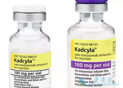 T-DM1��Kadcyla������Her2ͻ��ķΰ�����Ҳ������Ч��