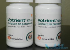 ��������(pazopatinib)�������ҩ��ɸ����ʹ����������С