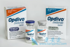 ���䵥��/Oҩ�������������ڼ���������������뼰ʱͣҩ