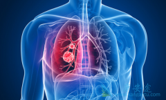 �ΰ�ҩ�ﰬ������/����������û����л������������������