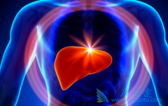 �ַ�����(Lenvatinib)��QALY�����û��߸�Ϊ�����ҳɱ����ڱ�׼����