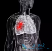 ��������(COBOTINI)���ƹ�ת��ǰ���ٰ�����Ч����ô��