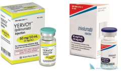 ��ƥľ����(Yervoy)��Oҩ����Ʒ��������������͵Ľ�ֱ����