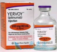 ���嵥��¡������ƥľ������YERVOY)�ĸ�ҩָ��