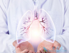 �ط��Է���ά����������������ͪ�������Щ������Ӧ