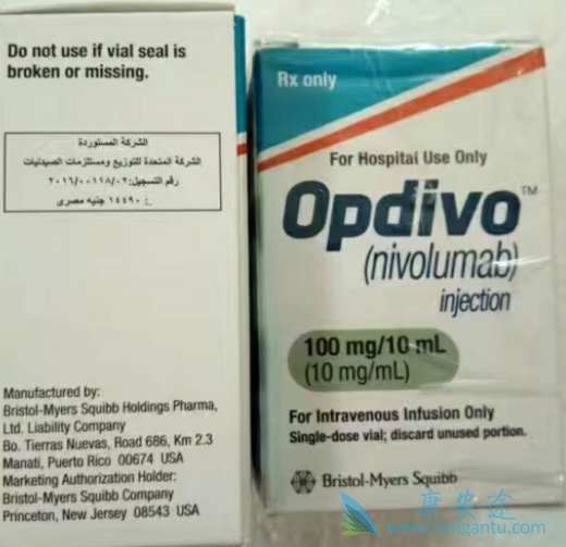 纳武单抗 纳武单抗