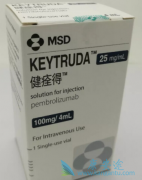 ת���Ժ�ɫ��������ͣ����ķ����(pembrolizumab)�����ܻ�ó־û���