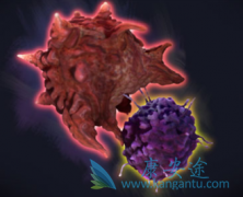 ����T-DM1(Kadcyla)��Ч�Ϳ˷���ҩ�ķ�������Щ