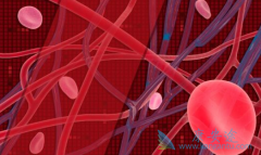 ��ȷ������˾��ҩ������ȷ����Ч�Ĺؼ�