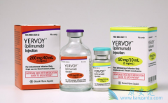 ��������ҩ��CTLA-4��������PD-1���Ƽ��ĳ�������������Щ��