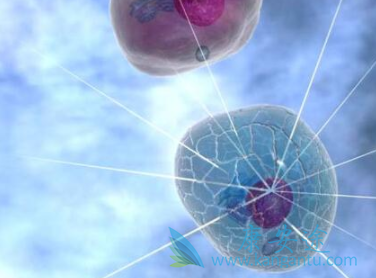 依鲁替尼 依鲁替尼