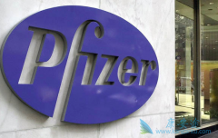 ������ᣨVizimpro��Ϊʲô���ڵڶ���EGFRҩ�