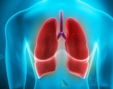 ת���Էΰ�һ�������г����µ�ת������Ҫ����������