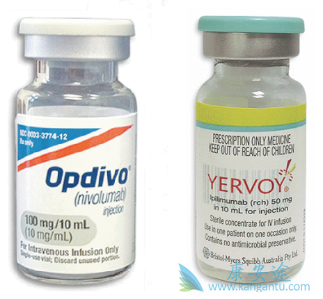 CTLA-4���Ƽ�