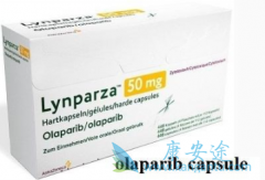 PARPƼ(Olaparib)ЧǻƵ2