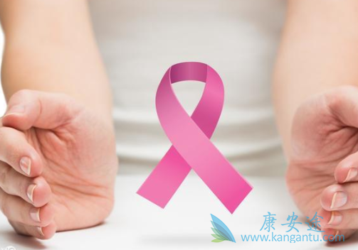 ���ٰ��ڷ�������