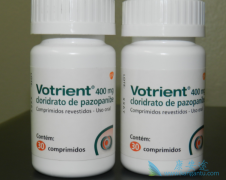 ������������(pazopatinib)��ҩ������Щҩ����