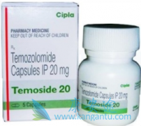 ��Ī��(Temoside)���Ƹ����ͼ���������Ч��