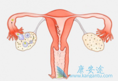 �ѳ���ҩ���������(Olaparib)���кܺõ��������밲ȫ��