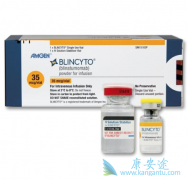 �׸�CD19�����Կ���Blinatumomab���з�����