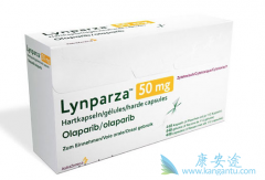 ȫ���׿�PARP���Ƽ�Lynparza�ڹ������к������������