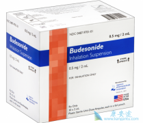 �����ε�(Budesonide)������ҺΪ������ϸ����֢�����ṩ��һ�����Ʒ�