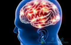 EGFR���Ƽ������ڽ���ĸϸ����������