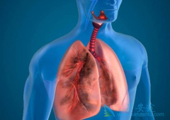 ALK���Ի������ȳԿ������ỹ�ǲ�������/��������