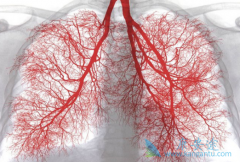 Ϊʲô�ΰ���ҩ��������/��ʥɯ����ҽ�������ڴ�