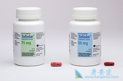 BRAF���Ƽ��ں�ɫ���������������е�Ӧ����������