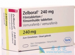 ���޷���(Zelboraf)˵�����е���ҩָ���������ģ�