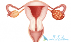 �ѳ���ά�����ƻ���ѡ�����鵥�����ǰ�������