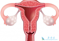 �ѳ�������ʹ��PARP���Ƽ��᲻�������ҩ