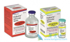 ��ƥ����(Yervoy)������ɼ��һ�����Ʒ��۰�����Ч��