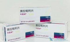 PARP���Ƽ����������ĳ���Ϊ�ѳ������ƴ����������