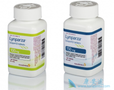 ʹ��PARP���Ƽ�����ǰ�Ƿ���Ҫ���л����⣿