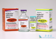 CTLA-4����Ҳ��һ��֪���İ�֢�������Ʒ���