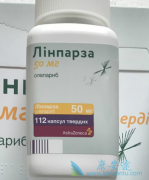 ��������������ƴ���BRCAͻ���HER2ת�������ٰ���