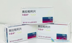 �����������׸����ҹ����������ѳ�����PARP���Ƽ�