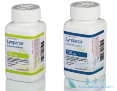 ����������Lynparza�����׸����й���½�����������е�PARP���Ƽ�