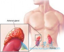 ����������ٵ�������Ƥ�ʰ����߿��Ե�ҩ��������̹��