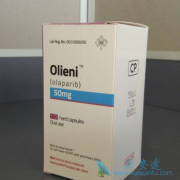 ��������(Olaparib)�����ڼ���ܻ�����Щ������Ӧ���֣�