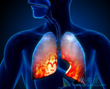 ���۰������������޿��밢�������������ӣ�