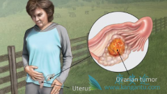 �����ѳ������ߵ����Ʒ�������Щ��