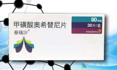 ������EGFR-TKI��ϣ�������Ʒ�Сϸ���ΰ�����Ч